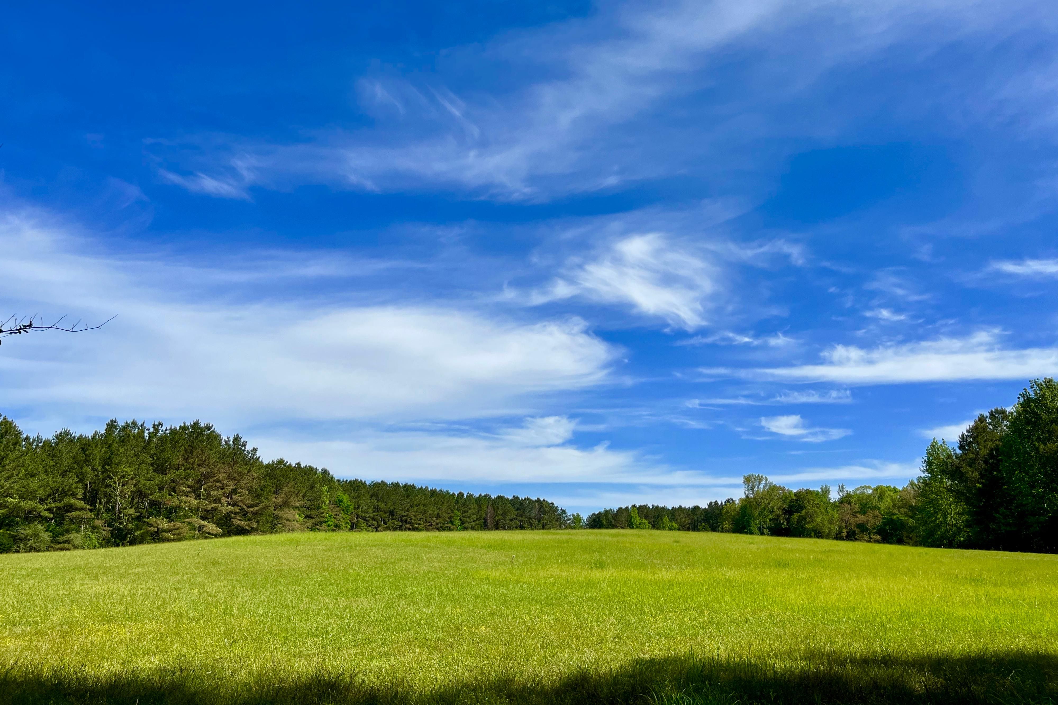 0 Lucien Road, Mccall Creek, MS 39647 LandWatch