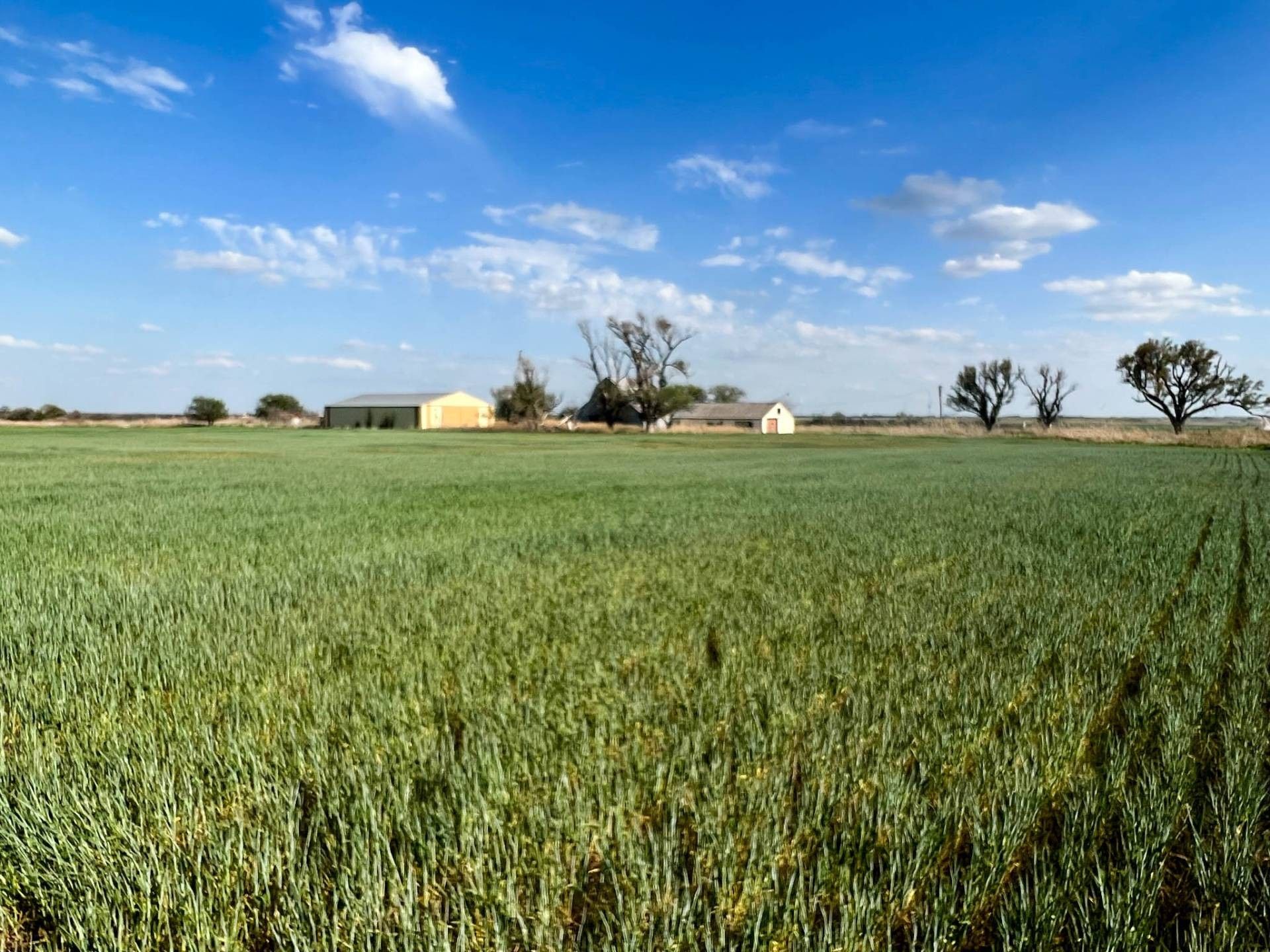 Hunter, Garfield County, OK Farms and Ranches for sale Property ID