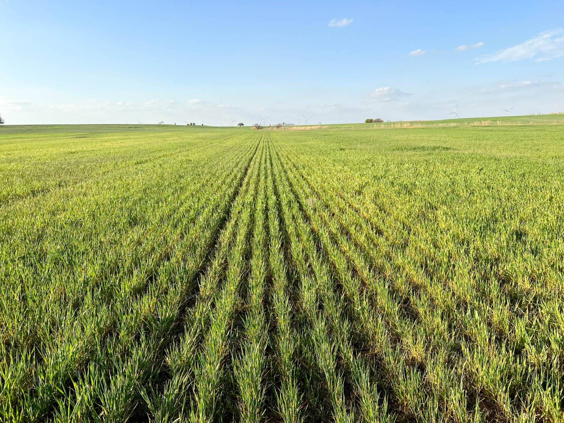 Hunter, Garfield County, OK Farms and Ranches for sale Property ID