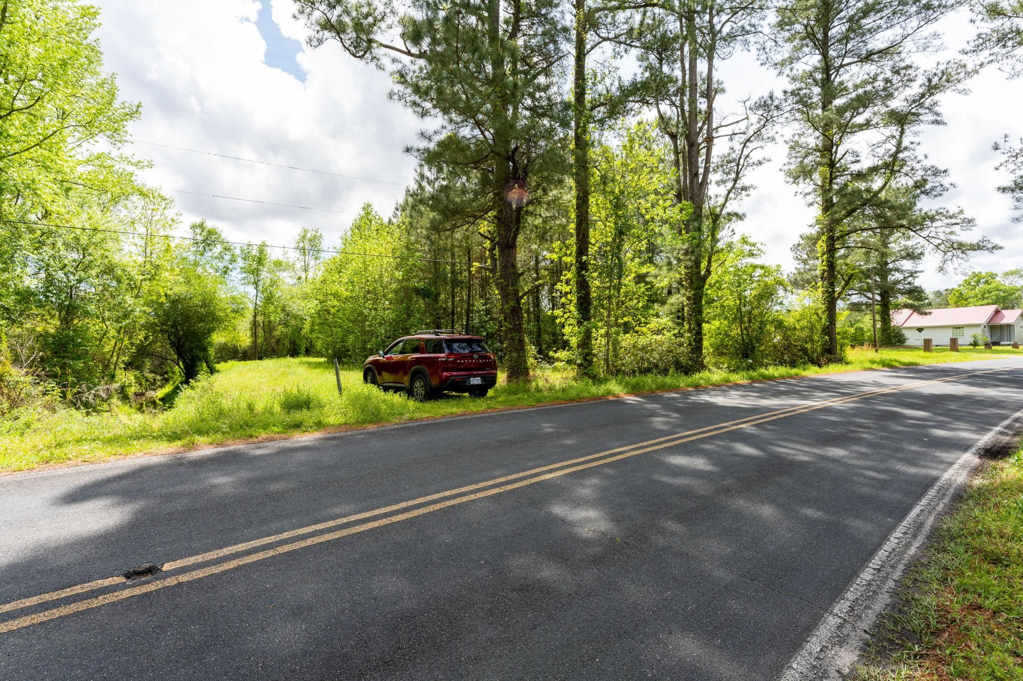 Burgaw, Pender County, NC Recreational Property, Undeveloped Land