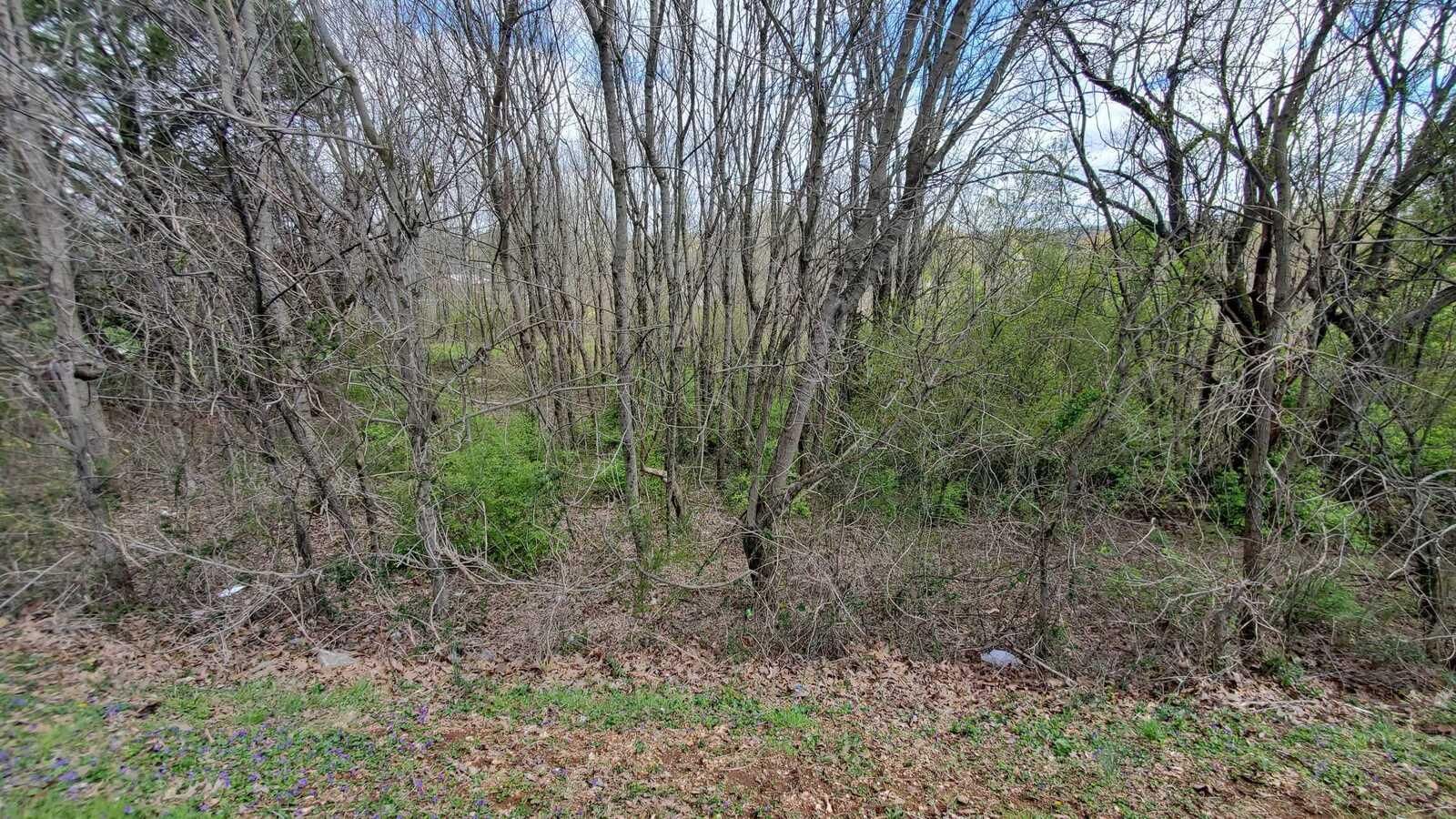 Sweetwater, Monroe County, TN Undeveloped Land, Homesites for sale