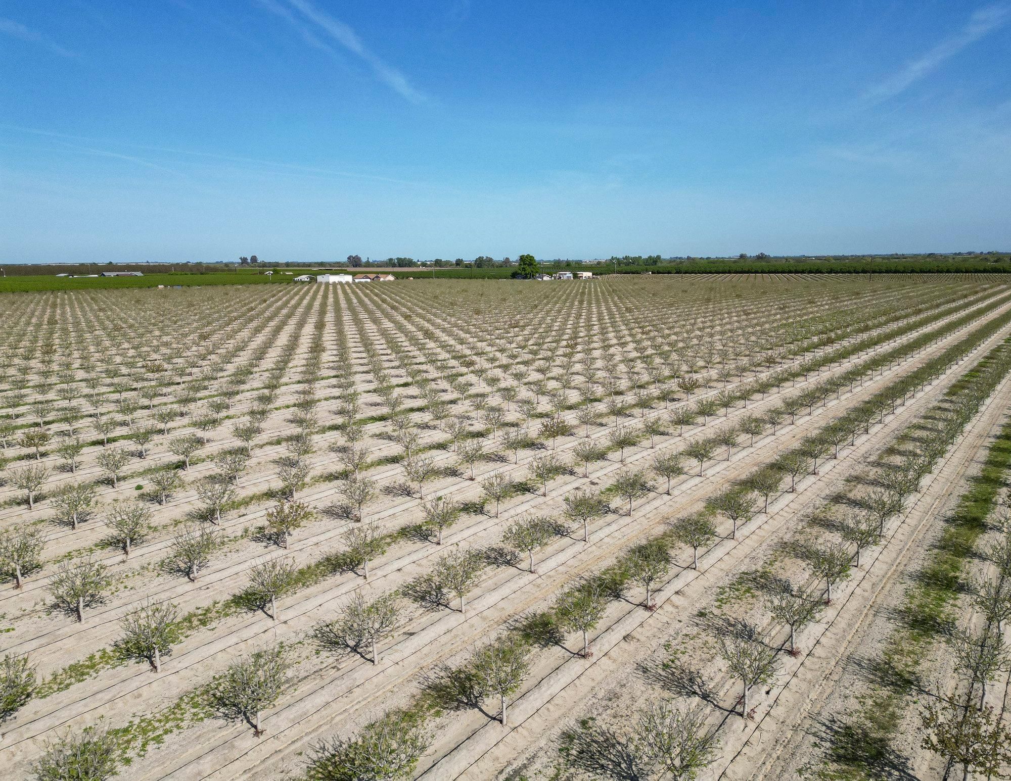 Hanford, Kings County, CA Farms and Ranches, Riverfront Property