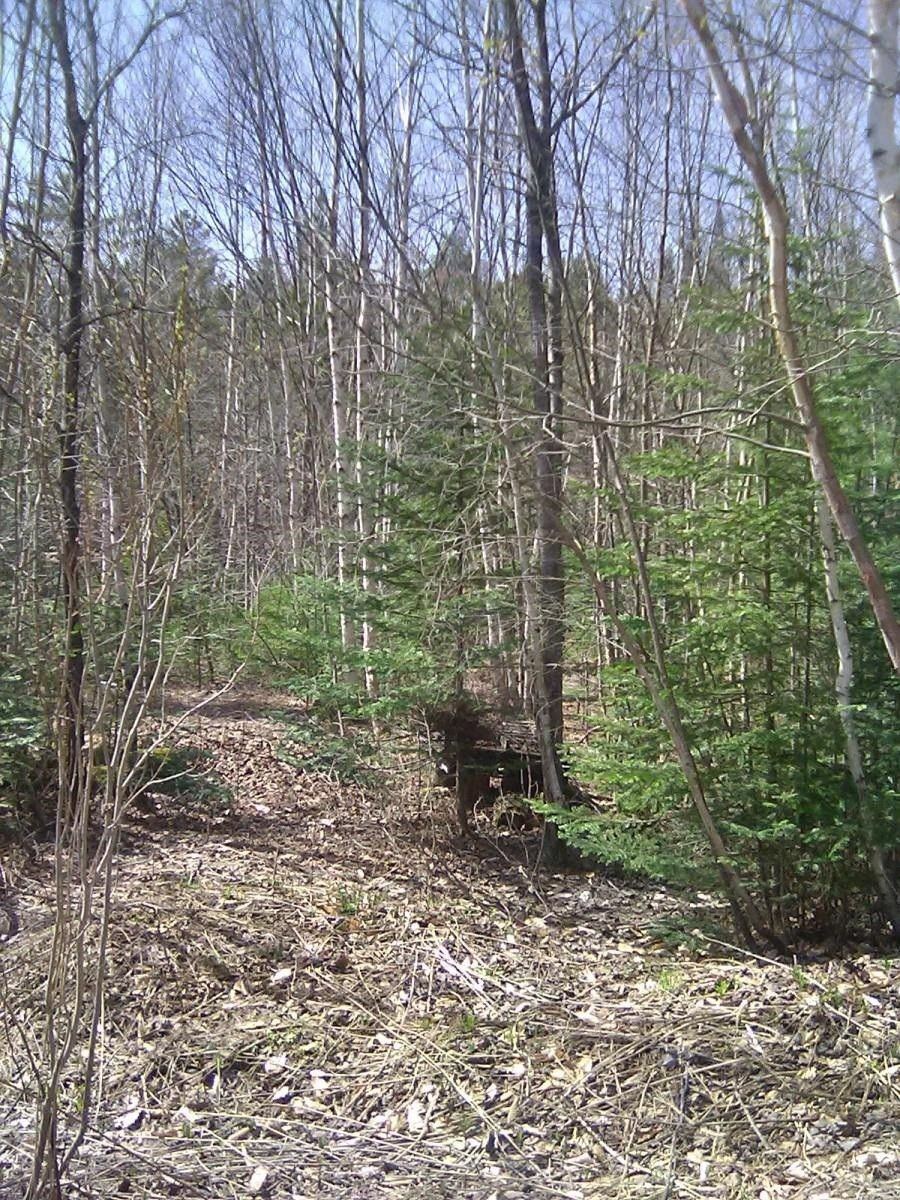 Hyde Park, Lamoille County, VT Undeveloped Land, Homesites for sale