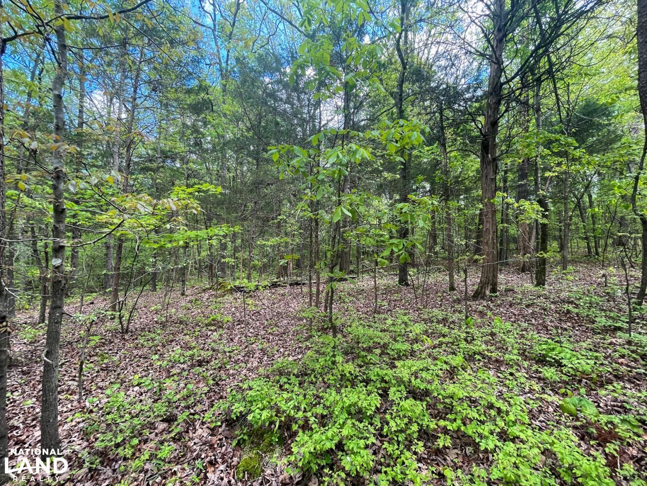 Staley, Chatham County, NC Undeveloped Land, Homesites for sale