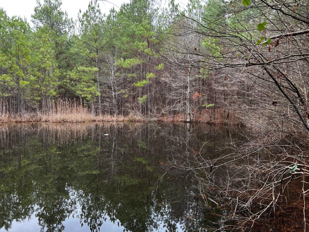 Jackson, Rankin County, MS Recreational Property, Timberland Property