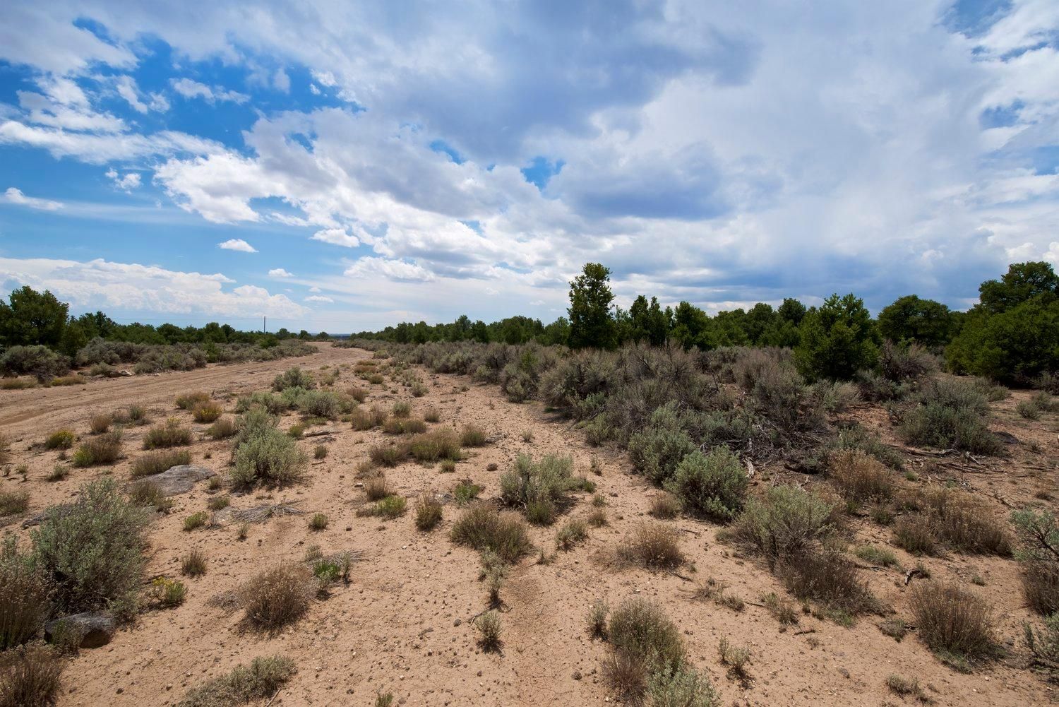 Tres Piedras, Taos County, NM Recreational Property, Undeveloped Land