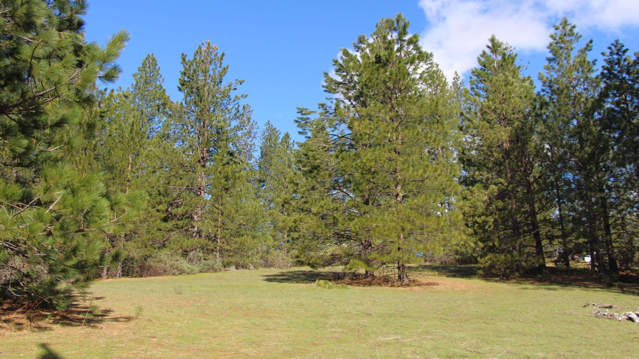 Greeley Hill, Mariposa County, CA Recreational Property, Undeveloped