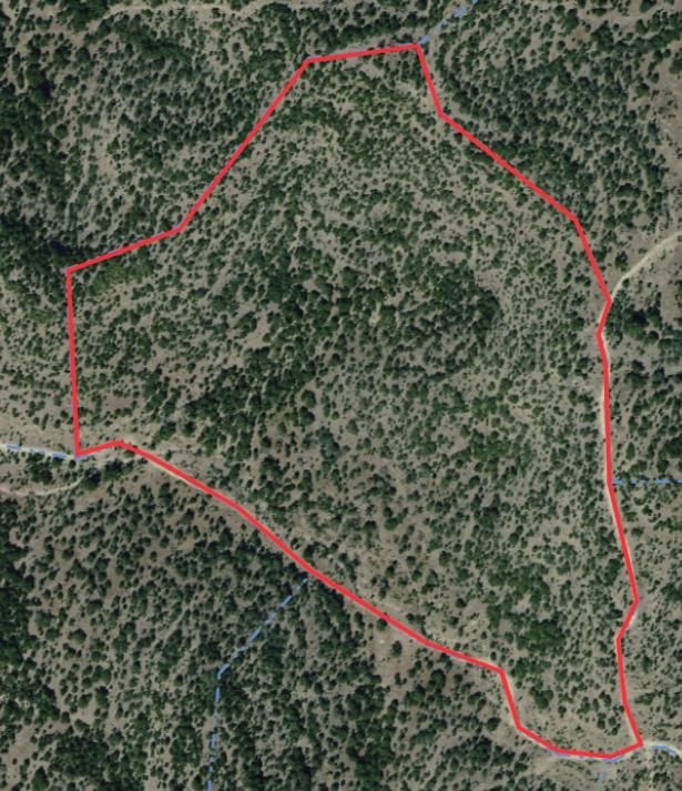 Rocksprings, Edwards County, TX Farms and Ranches, Recreational