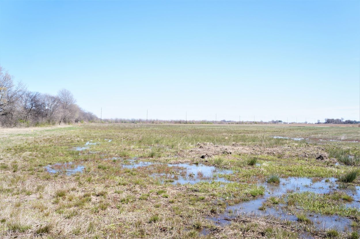 Dunklin County, MO Farms and Ranches for sale Property ID