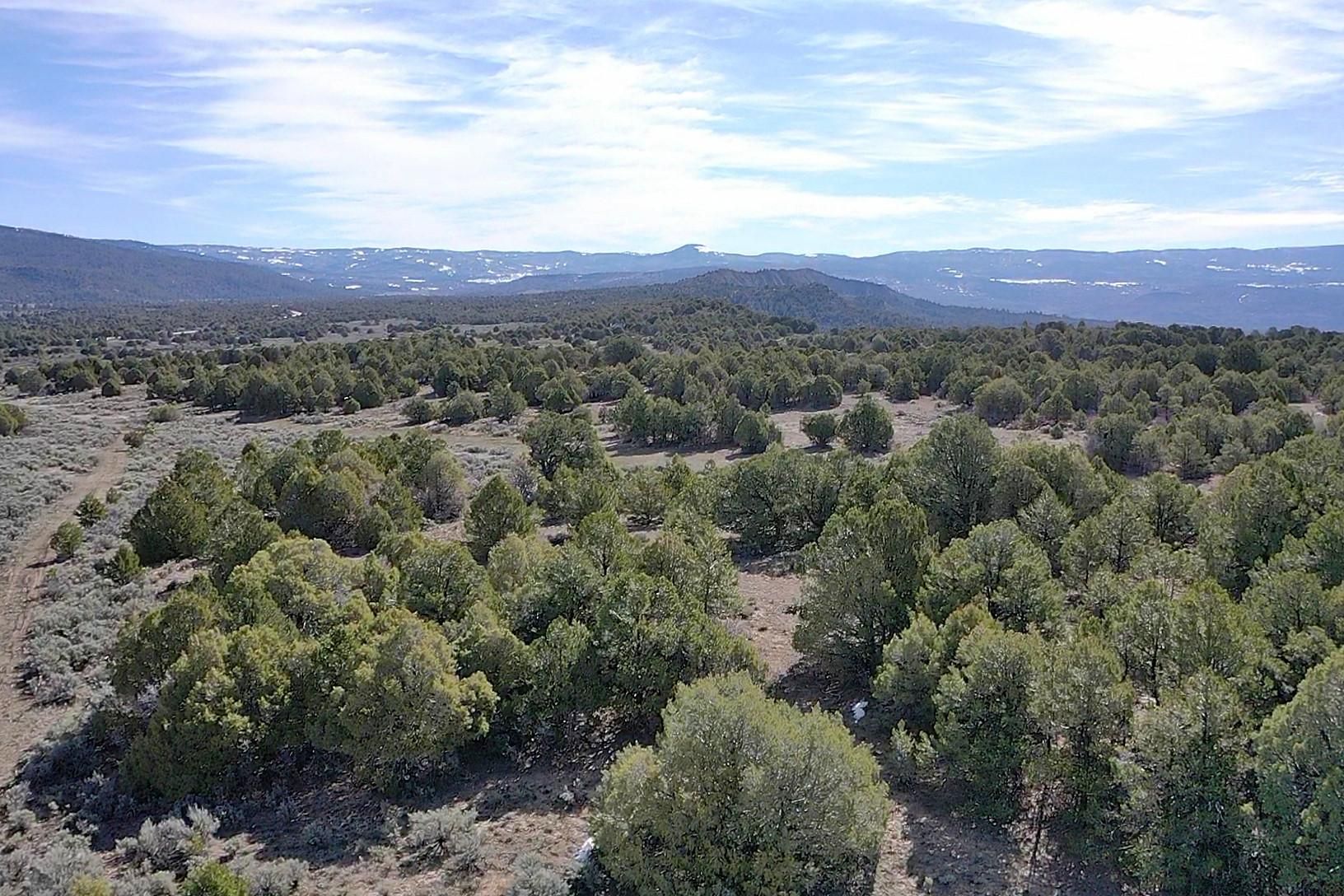 Tierra Amarilla, Rio Arriba County, NM Recreational Property, Hunting
