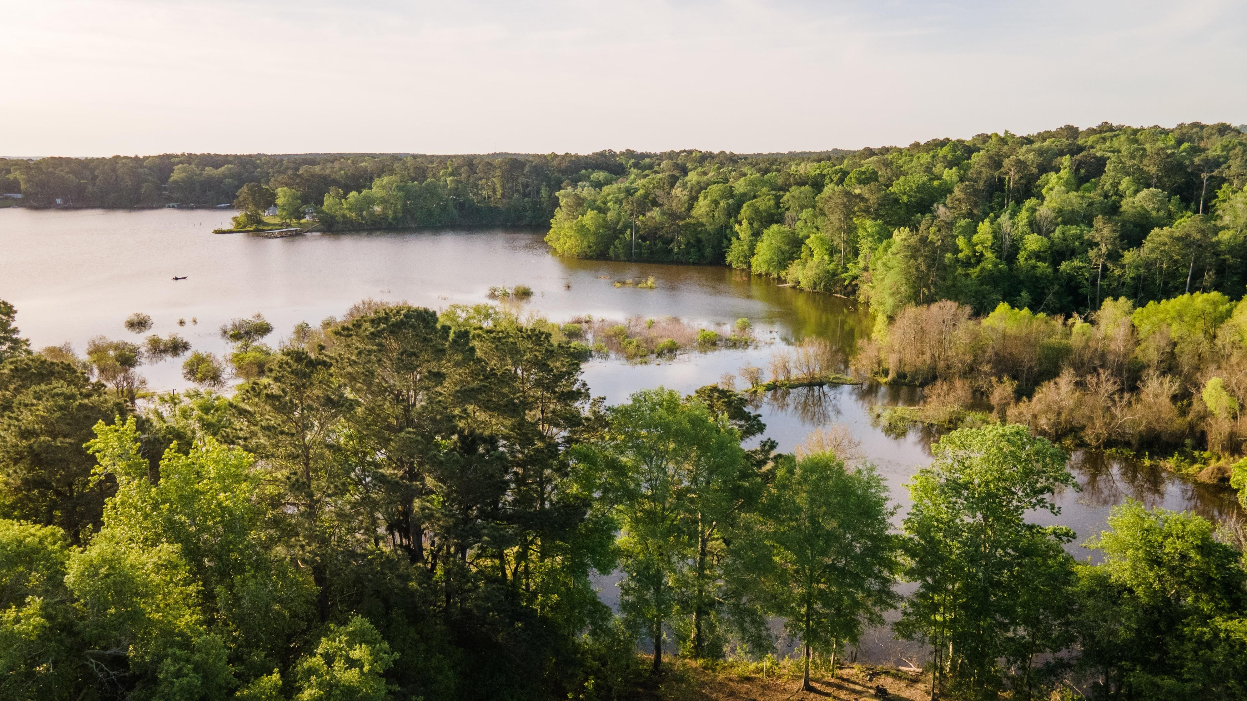 Milam, Sabine County, TX Recreational Property, Hunting Property