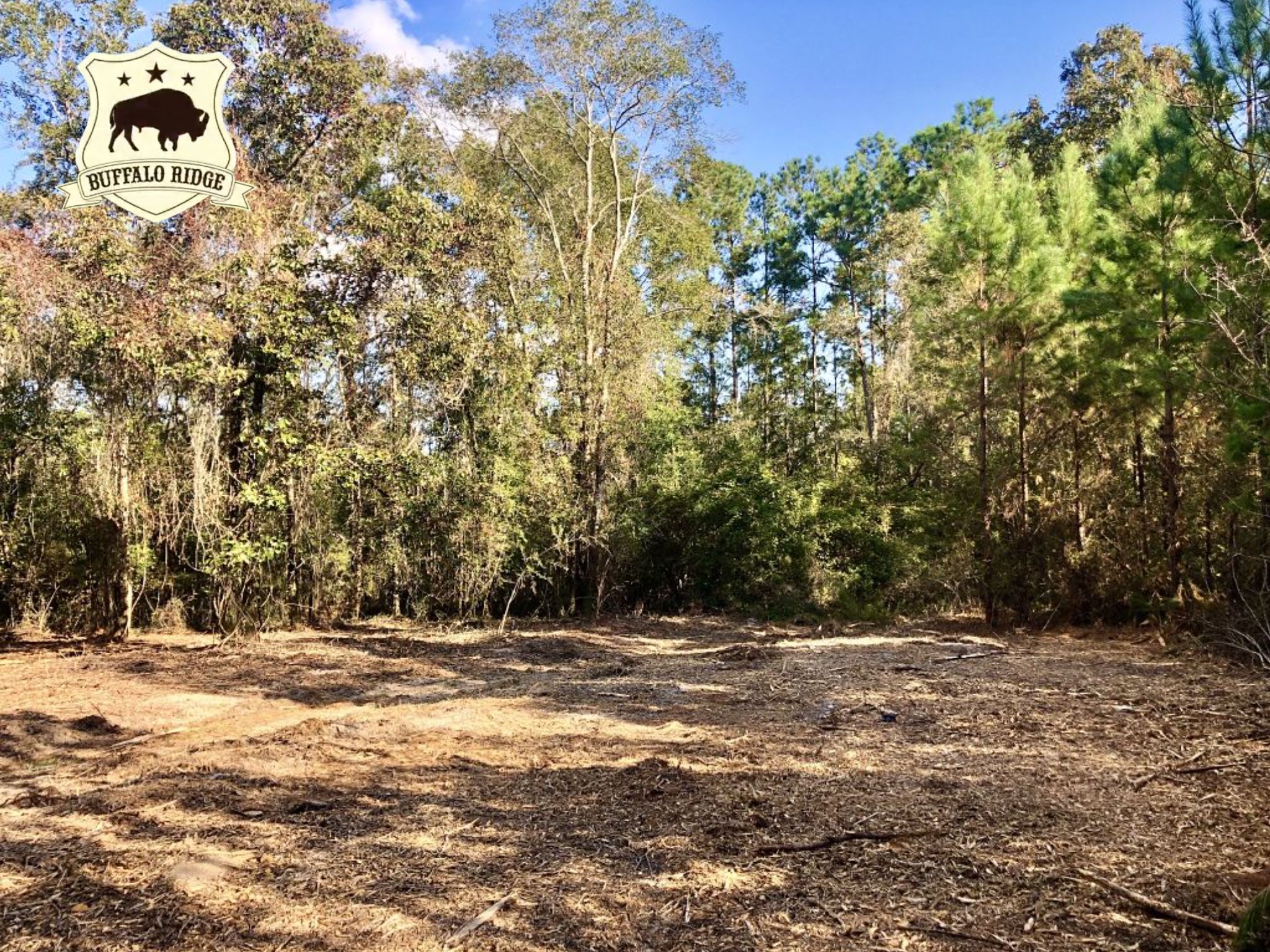 Pace, Santa Rosa County, FL Timberland Property, Undeveloped Land for