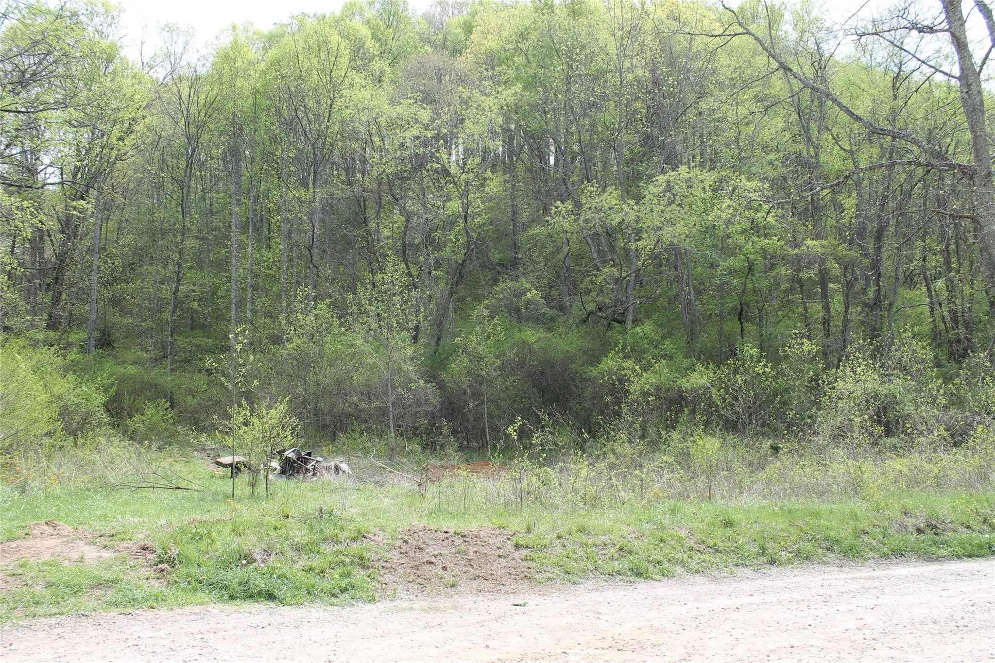 Clyde, Haywood County, NC Farms and Ranches, Homesites for sale