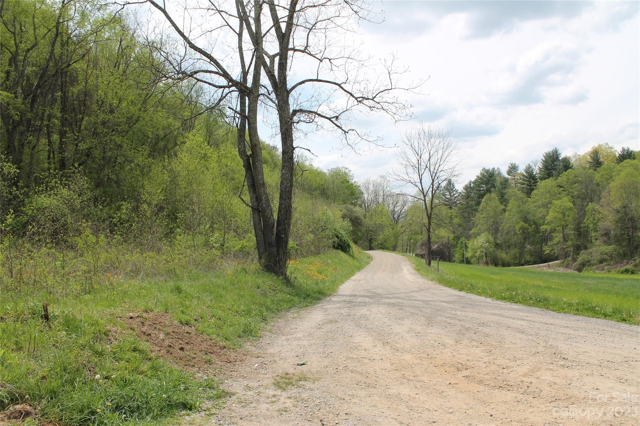 Clyde, Haywood County, NC Farms and Ranches, Homesites for sale