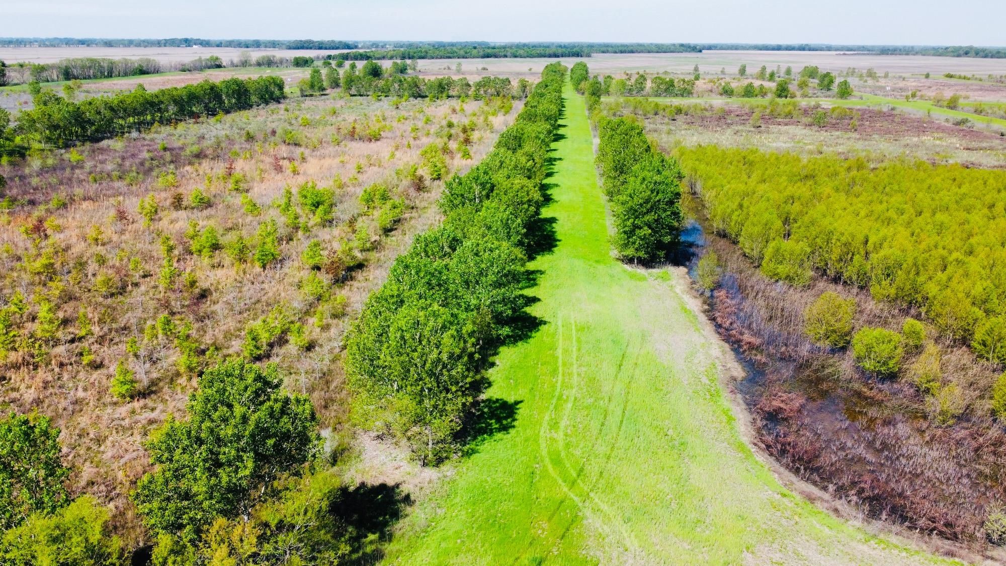 Isola, Humphreys County, MS Recreational Property, Timberland Property