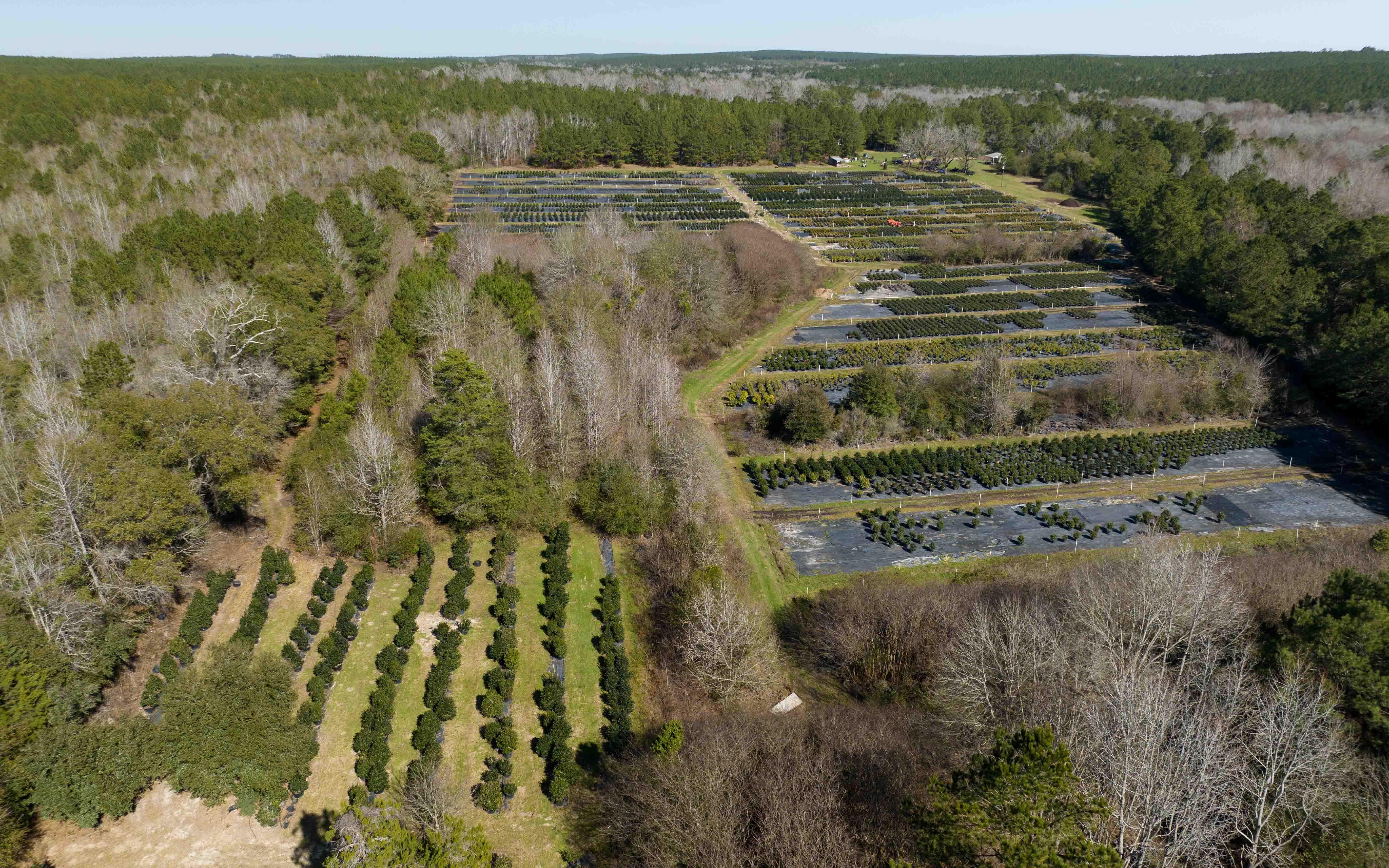 55.86 acres in Jasper, TX, 75951 LandWatch