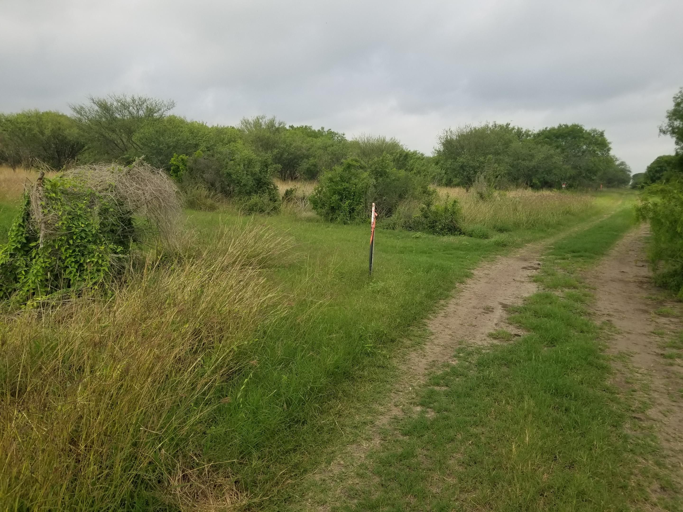 Pawnee, Bee County, TX Undeveloped Land for sale Property ID 416243561