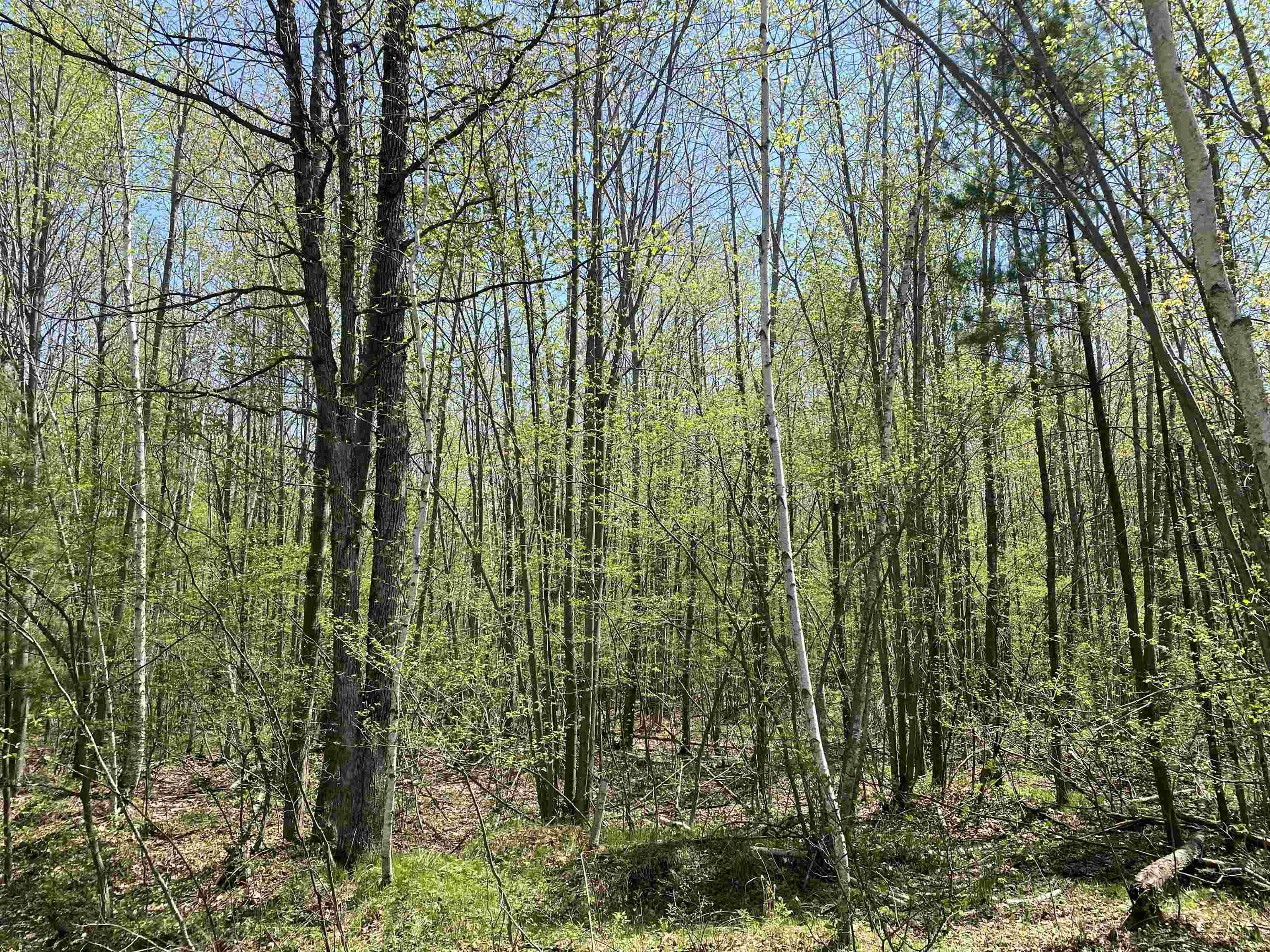 Neillsville, Clark County, WI Undeveloped Land for sale Property ID