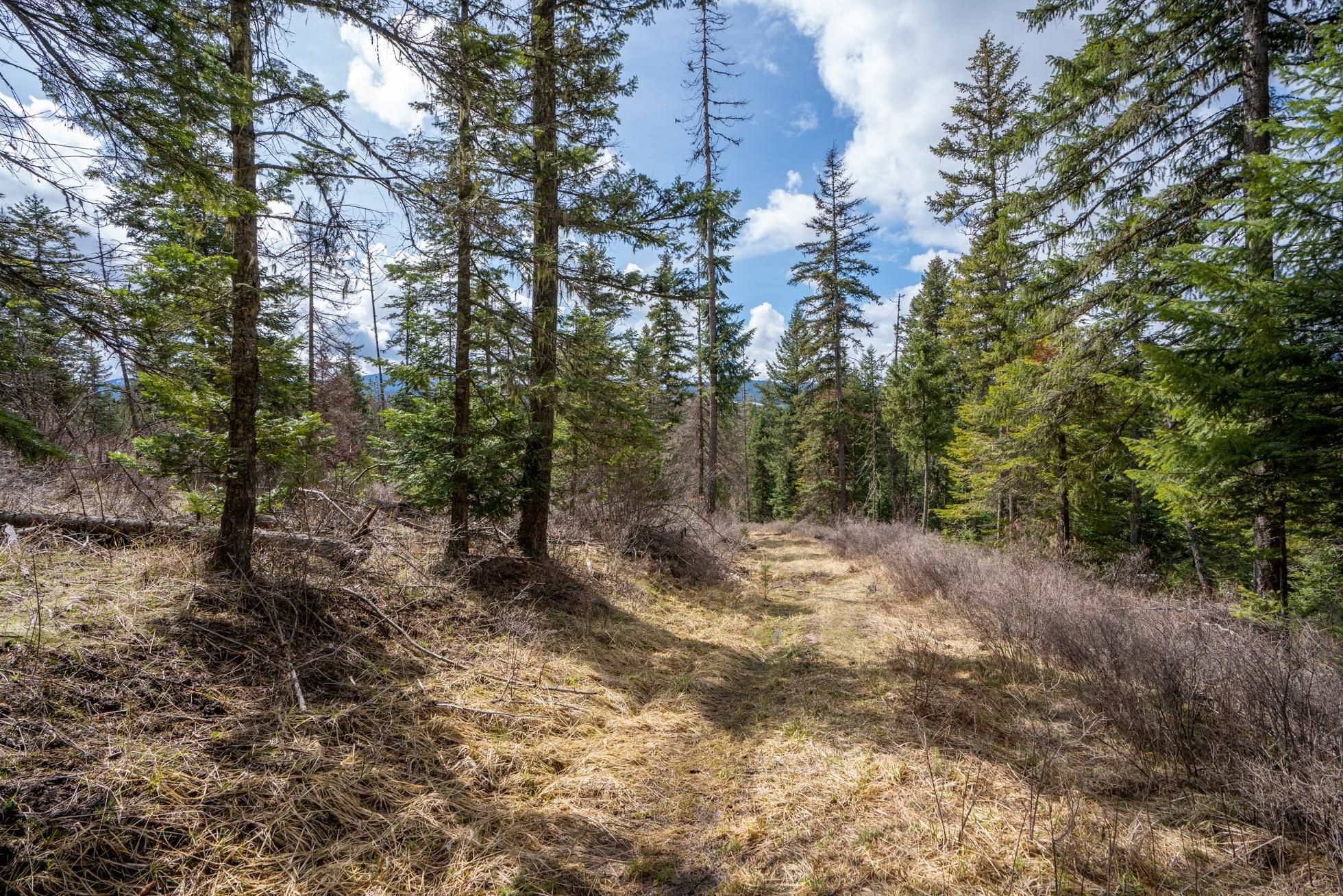 St Maries, Benewah County, ID Recreational Property, Undeveloped Land
