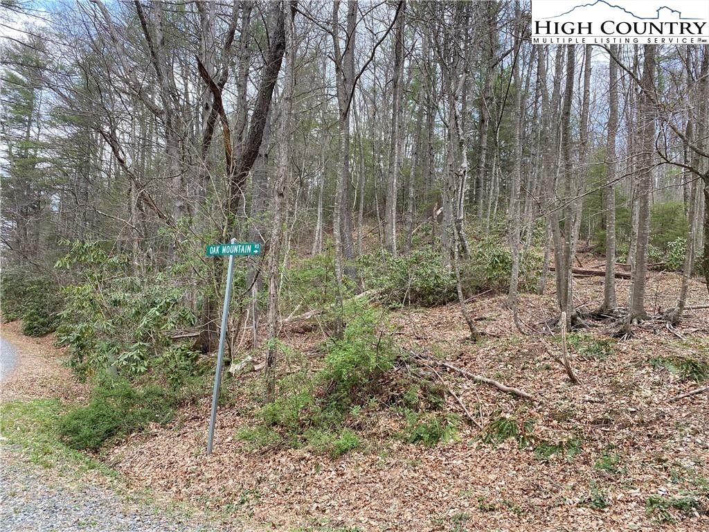 Fleetwood, Ashe County, NC Undeveloped Land, Homesites for sale