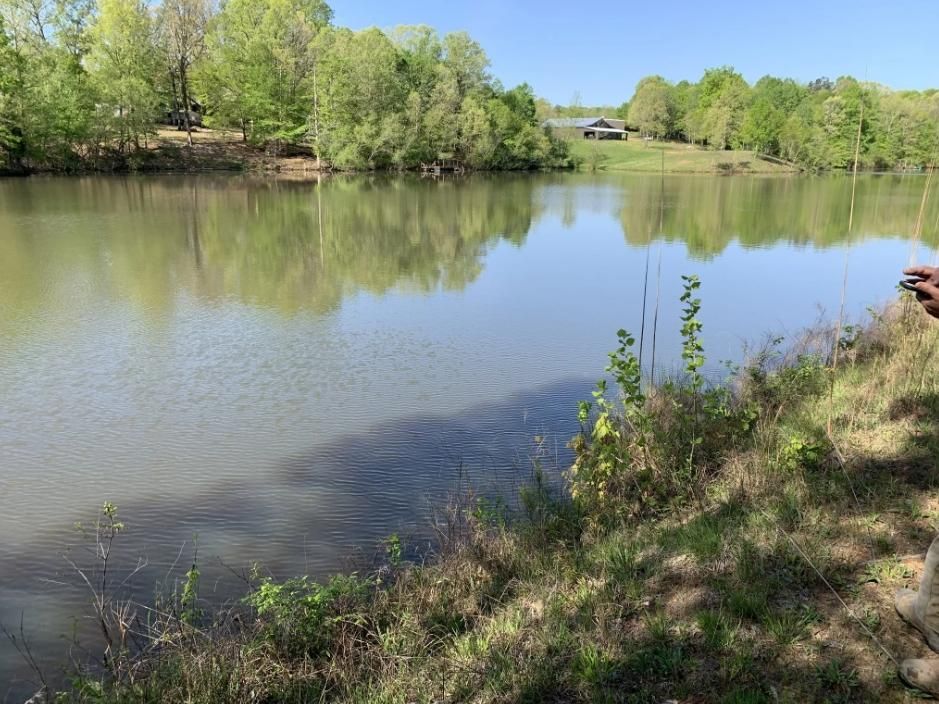 Bolivar, Hardeman County, TN Recreational Property, Undeveloped Land