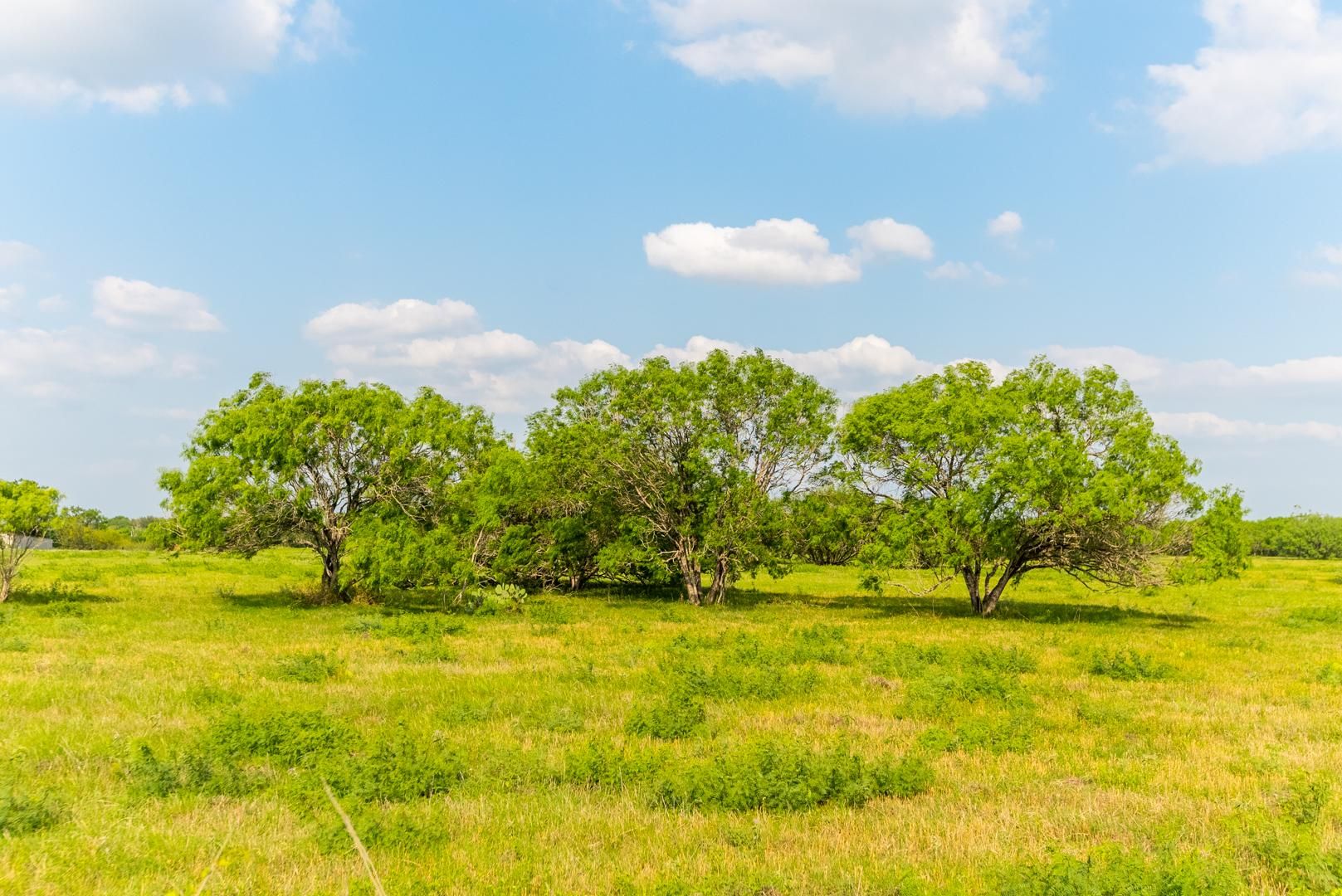 Seguin, Guadalupe County, TX Farms and Ranches, Undeveloped Land for