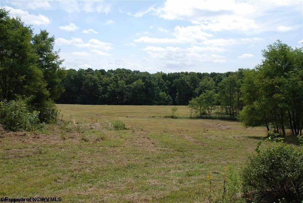 Bruceton Mills, Preston County, WV Undeveloped Land for sale Property