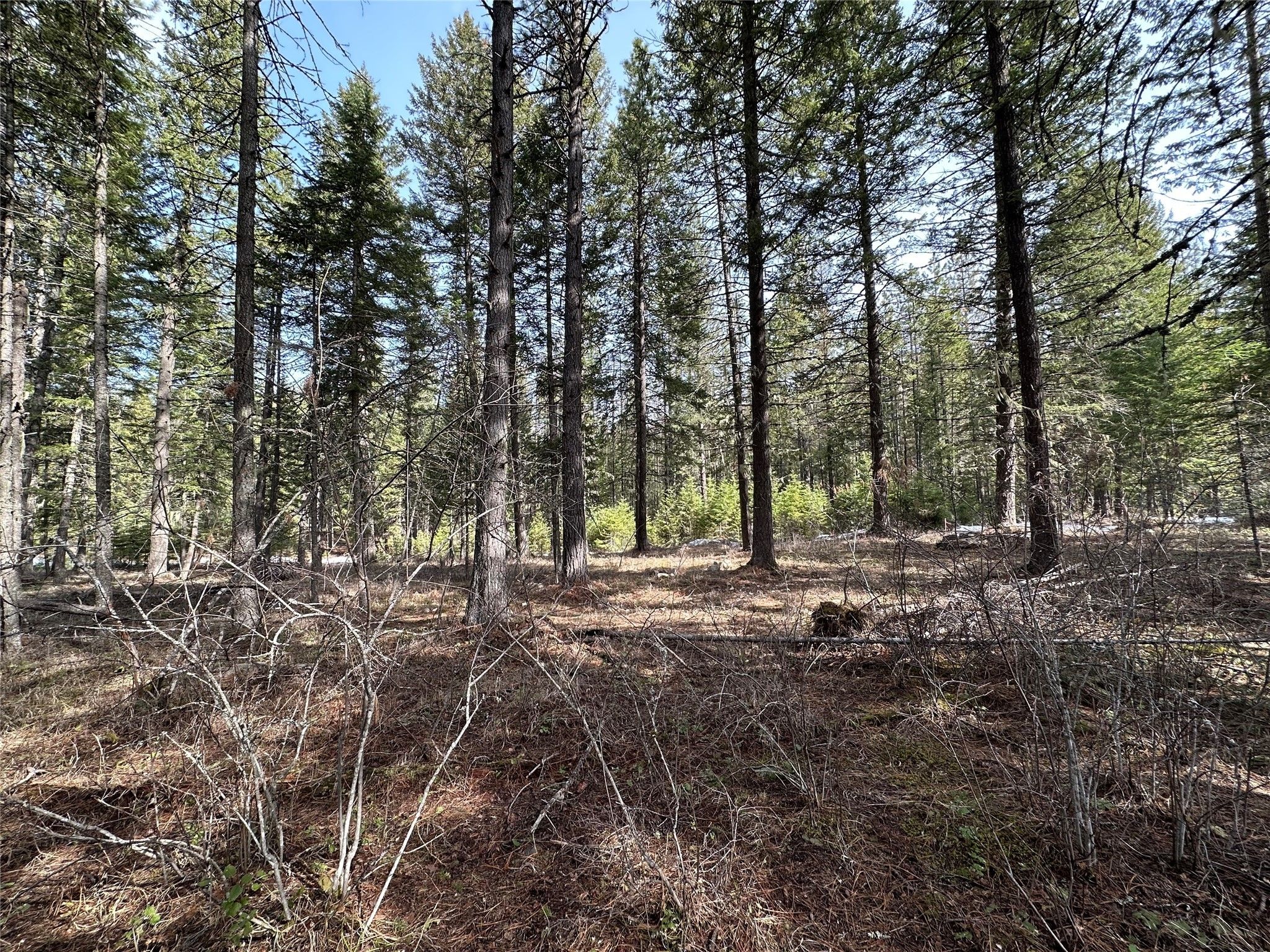 Trout Creek, Sanders County, MT Farms and Ranches, Homesites for sale