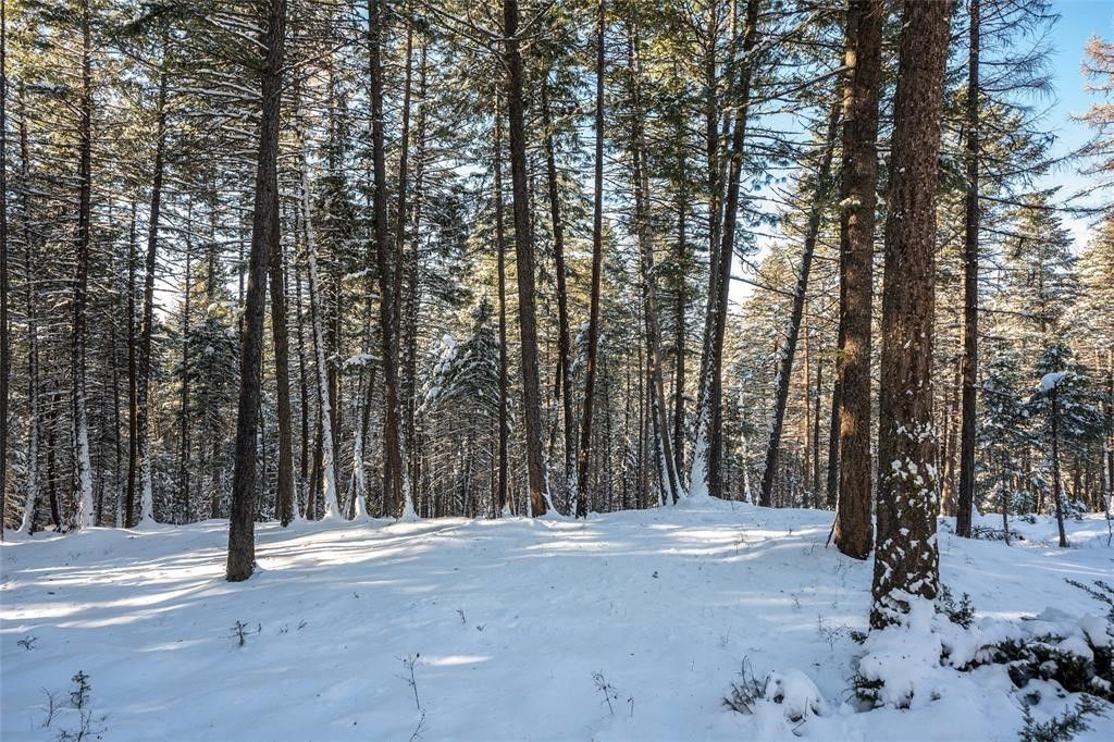 Whitefish, Flathead County, MT Farms and Ranches for sale Property ID