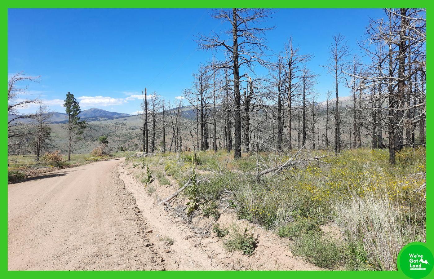 Fort Garland, Costilla County, CO Recreational Property, Undeveloped