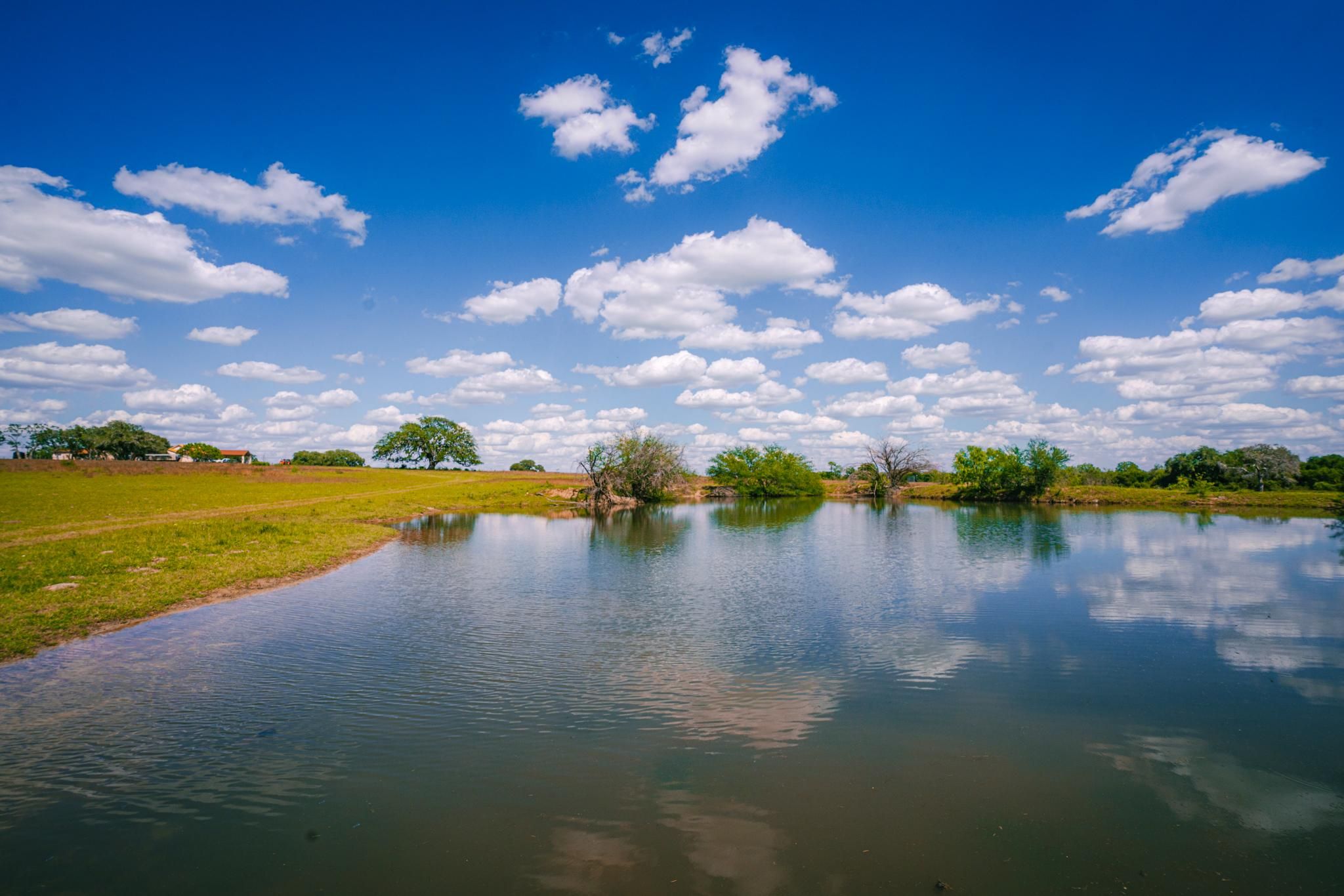 Mineral, Bee County, TX Farms and Ranches, Recreational Property, Hunting Property for sale