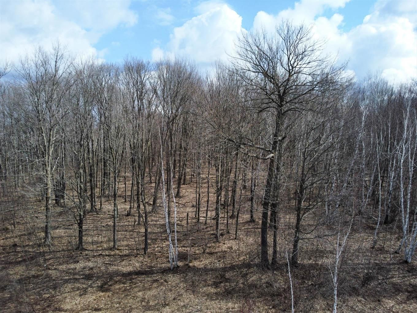 Winter, Sawyer County, WI Recreational Property, Timberland Property