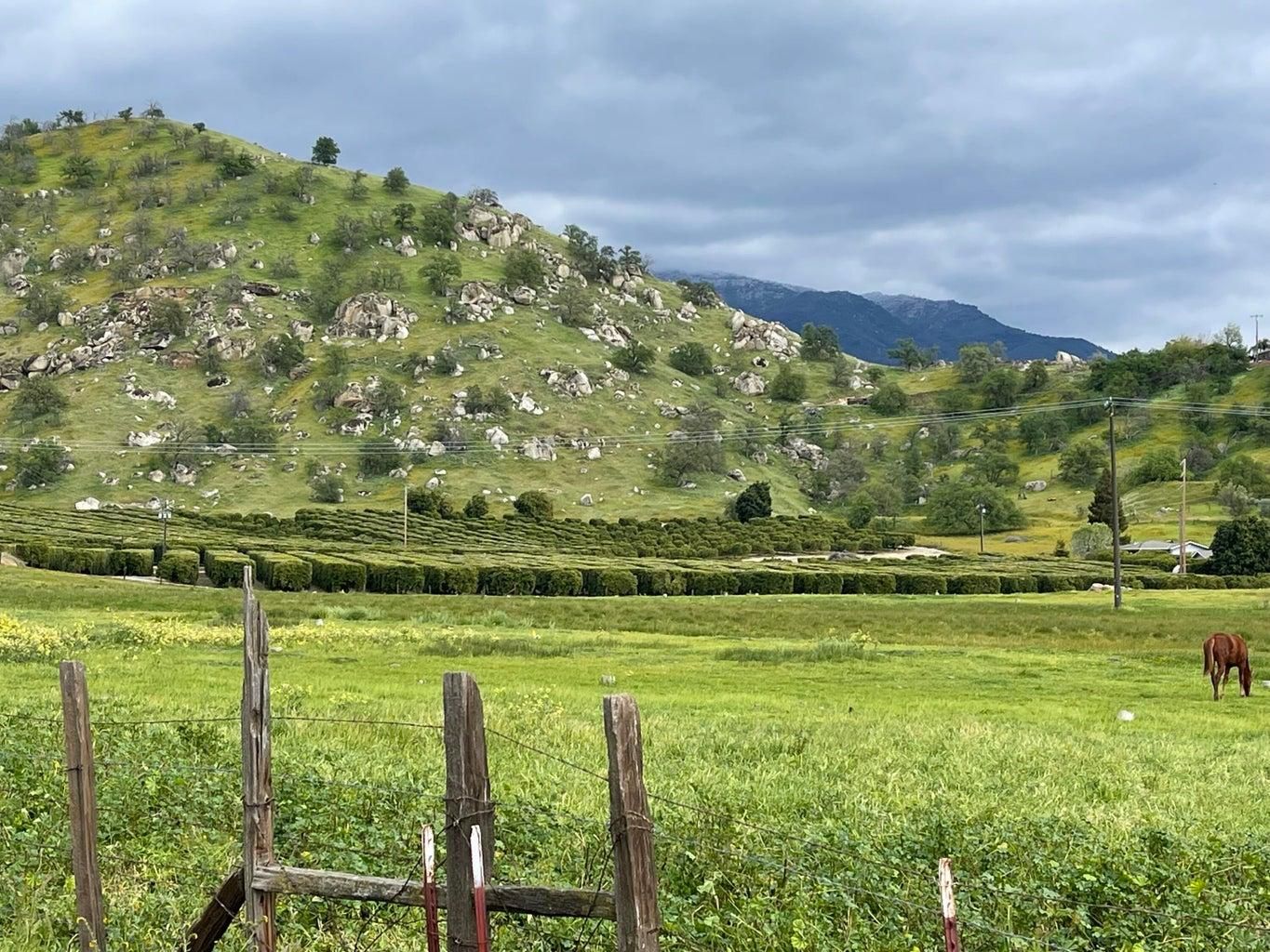 Springville, Tulare County, CA Farms and Ranches, Undeveloped Land for