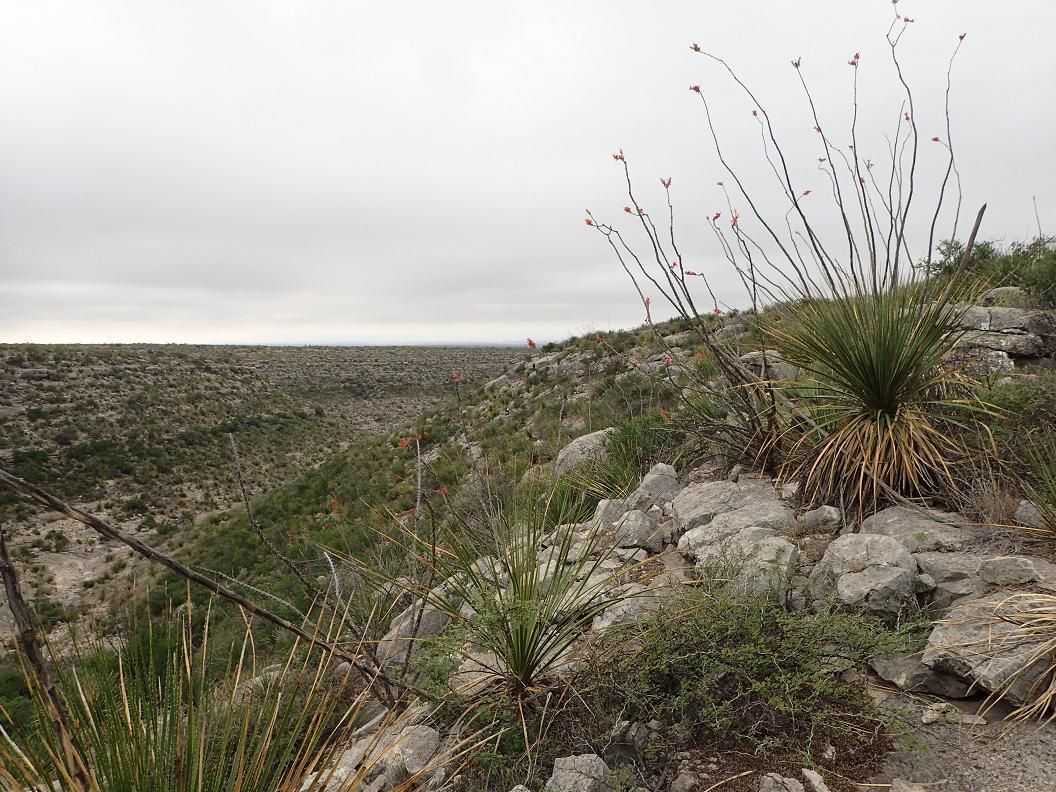 Sanderson, Terrell County, TX Farms and Ranches, Recreational Property