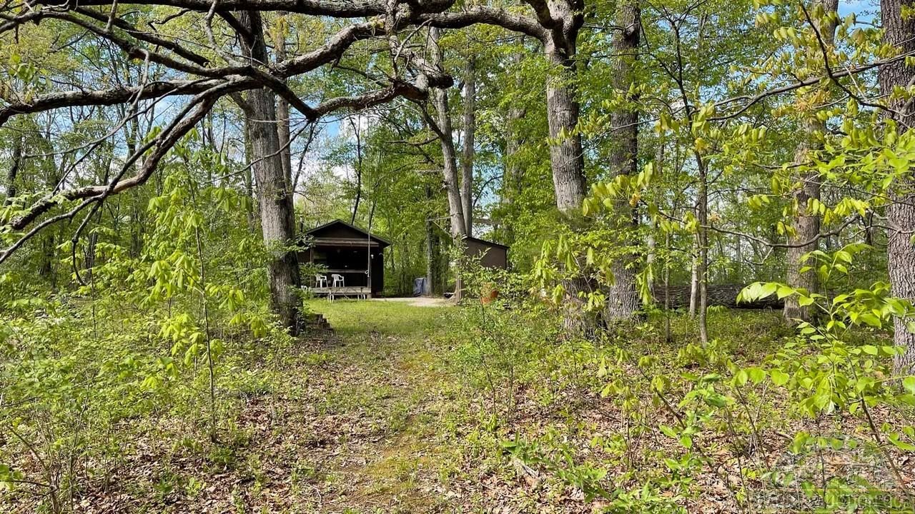 Thompsonville, Hamilton County, IL Recreational Property, Timberland