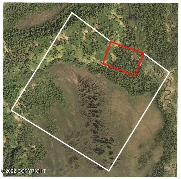 Tyonek, Kenai Peninsula Borough, AK Recreational Property, Undeveloped