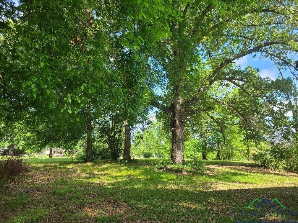Mount Enterprise, Rusk County, TX Farms and Ranches, Homesites for sale