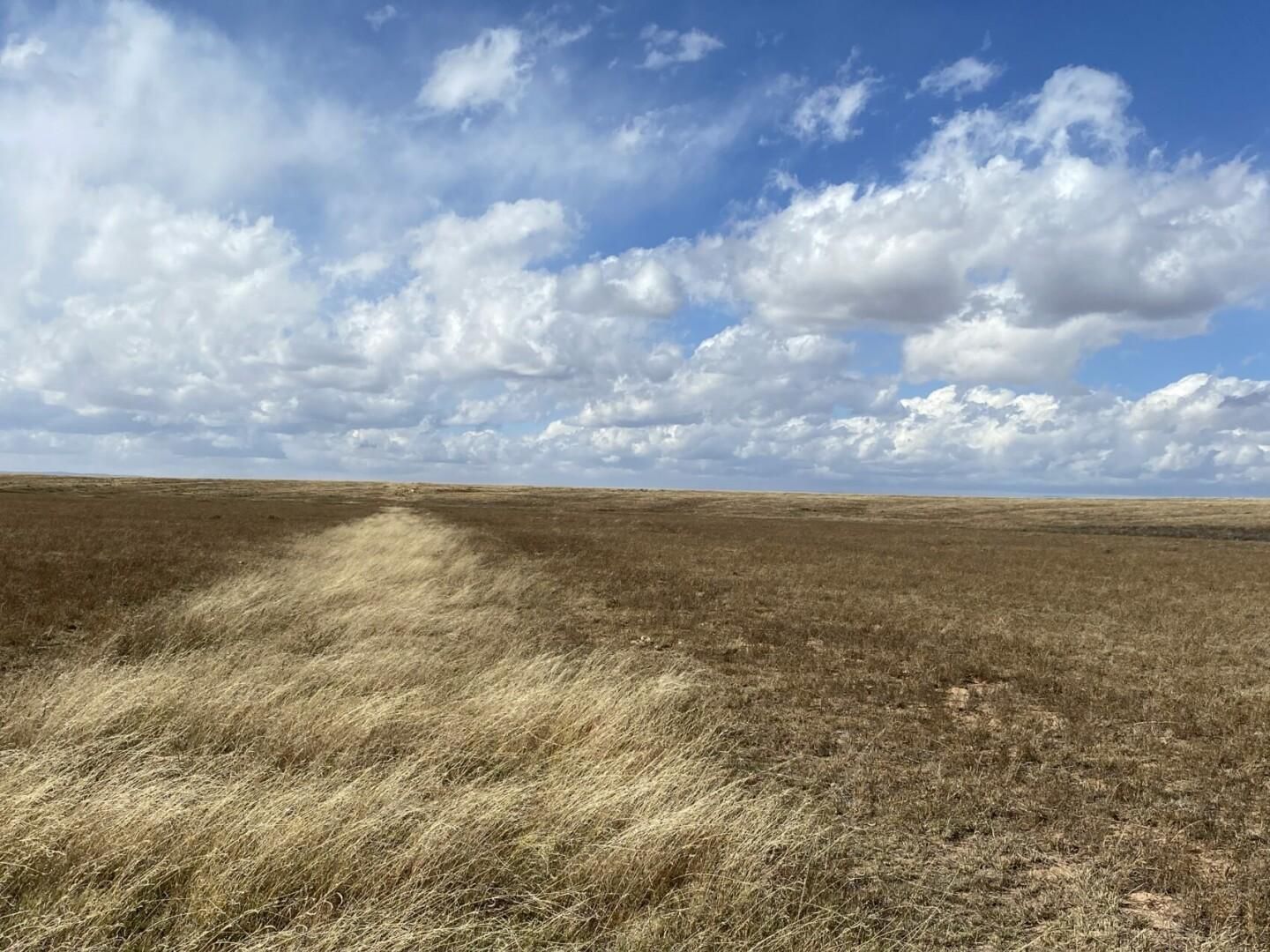 Moriarty, Torrance County, NM Recreational Property, Homesites for sale