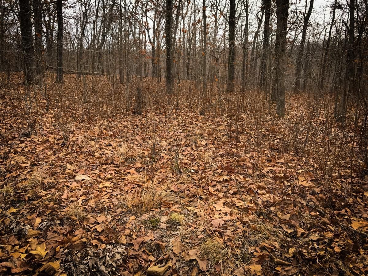 Edwards, Benton County, MO Recreational Property, Homesites for sale