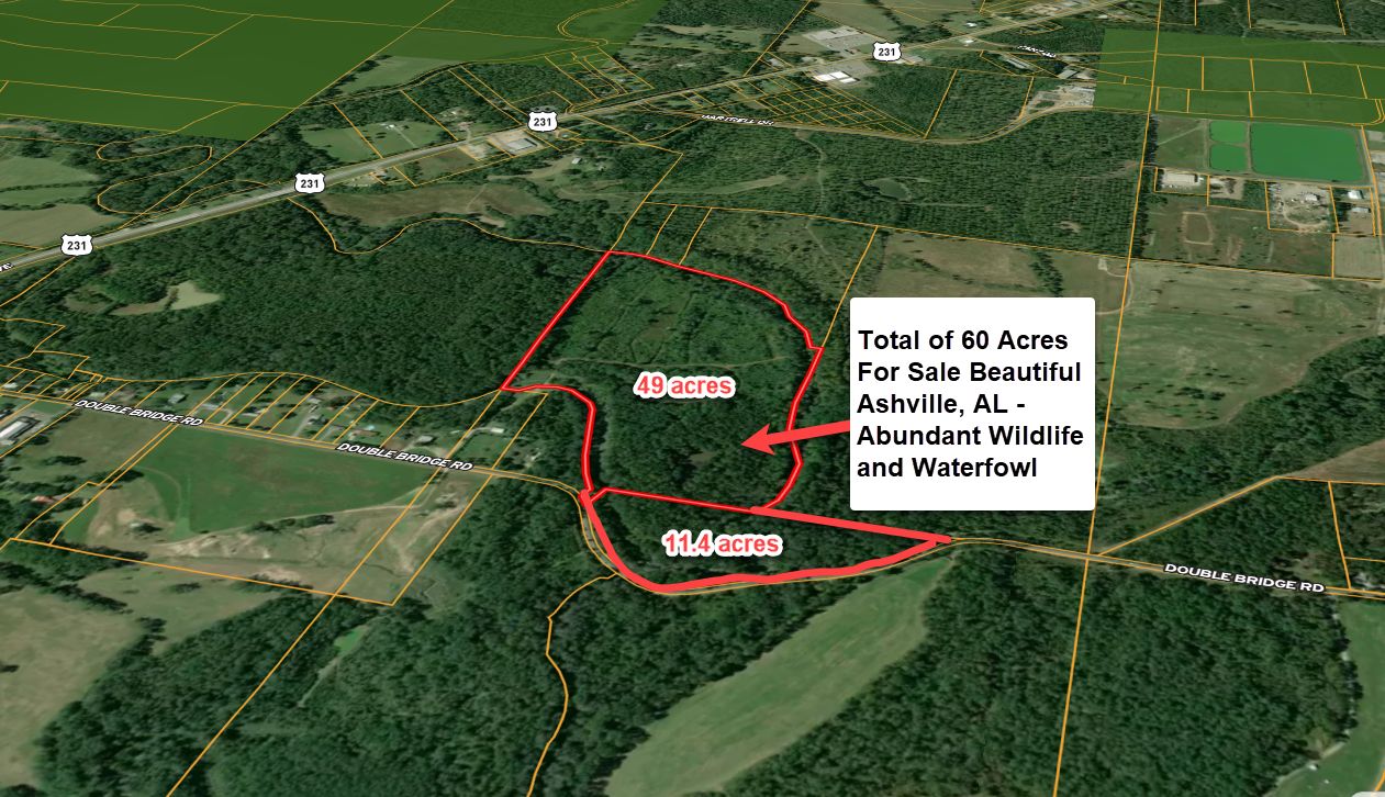 Ashville, Saint Clair County, AL Recreational Property, Hunting