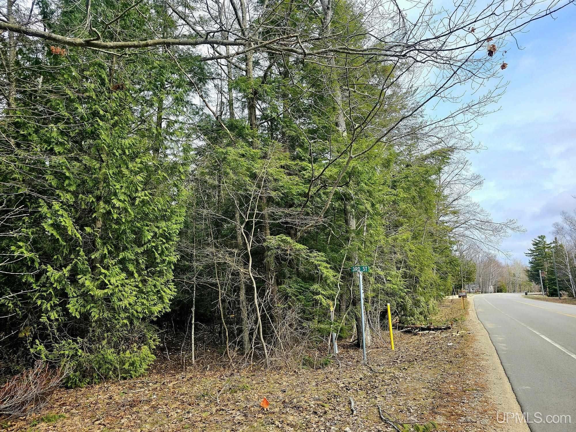 Manistique, Schoolcraft County, MI Undeveloped Land, Lakefront Property, Waterfront Property