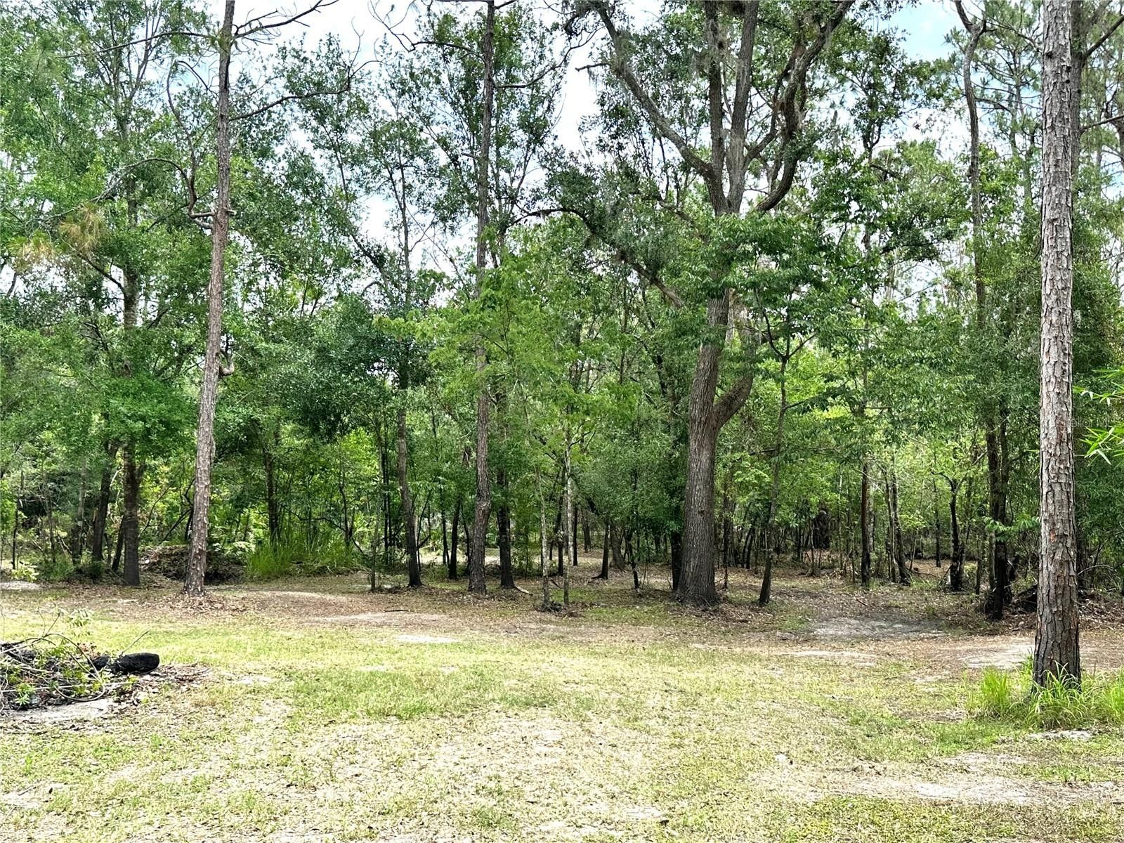 Arcadia, DeSoto County, FL Farms and Ranches, Homesites for sale