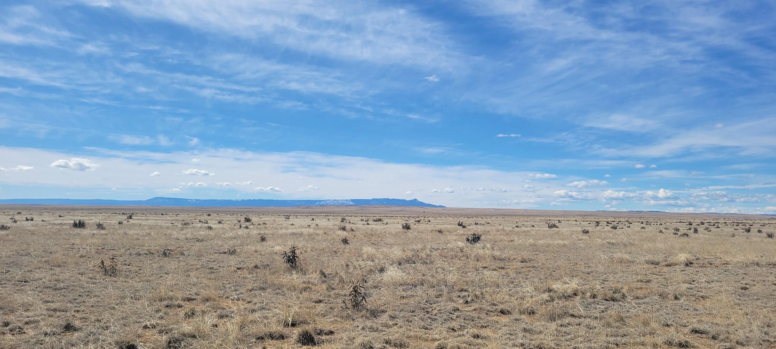 Model, Las Animas County, CO Farms and Ranches, Hunting Property for