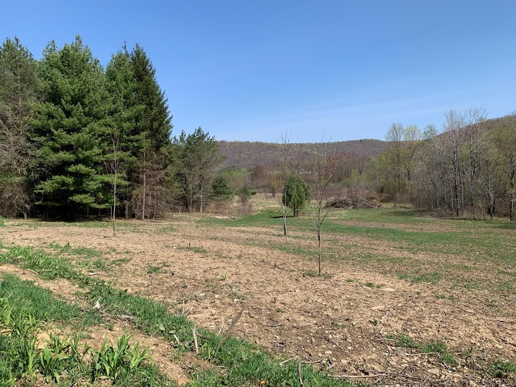 Shinglehouse, Potter County, PA Farms and Ranches for sale Property ID