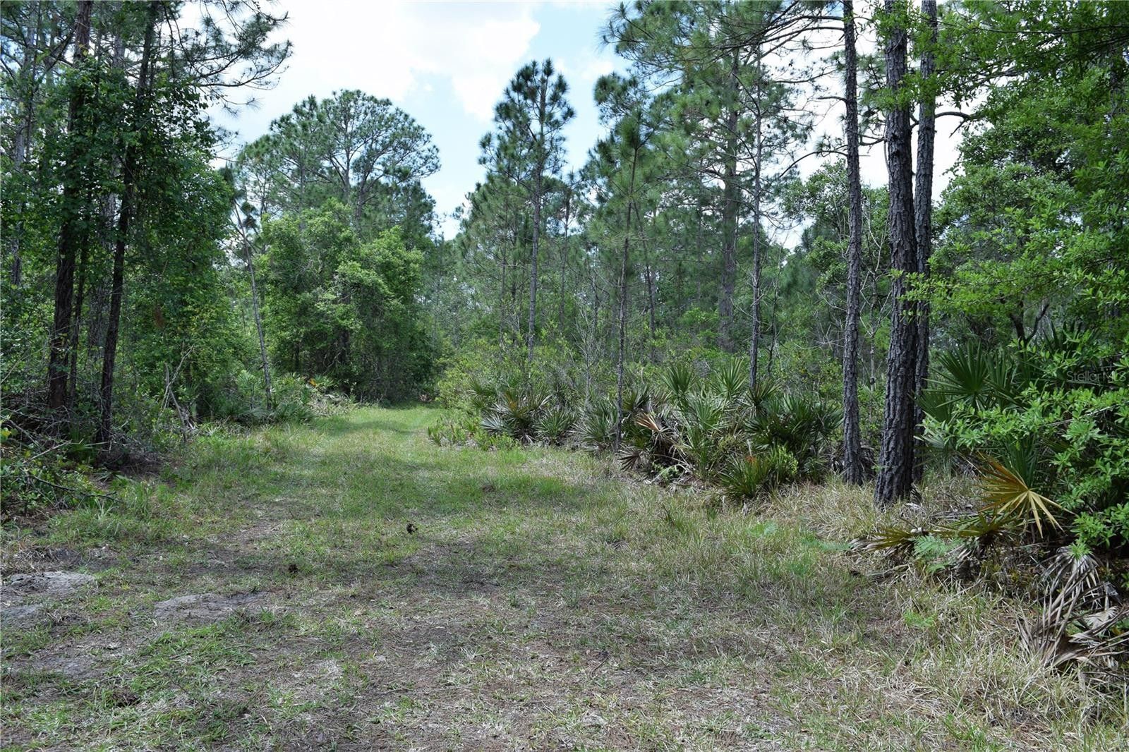 Osteen, Volusia County, FL Farms and Ranches, Lakefront Property, Waterfront Property for sale