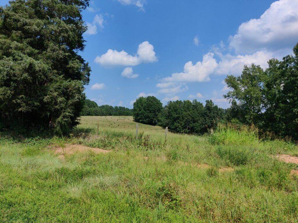 South Hill, Mecklenburg County, VA Recreational Property, Undeveloped Land for sale Property ID