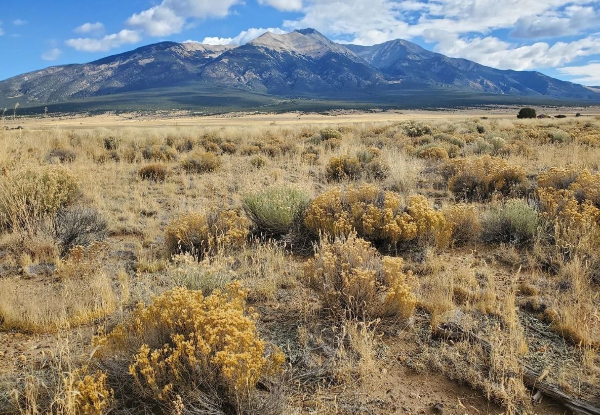 Blanca, Costilla County, CO Recreational Property, Undeveloped Land