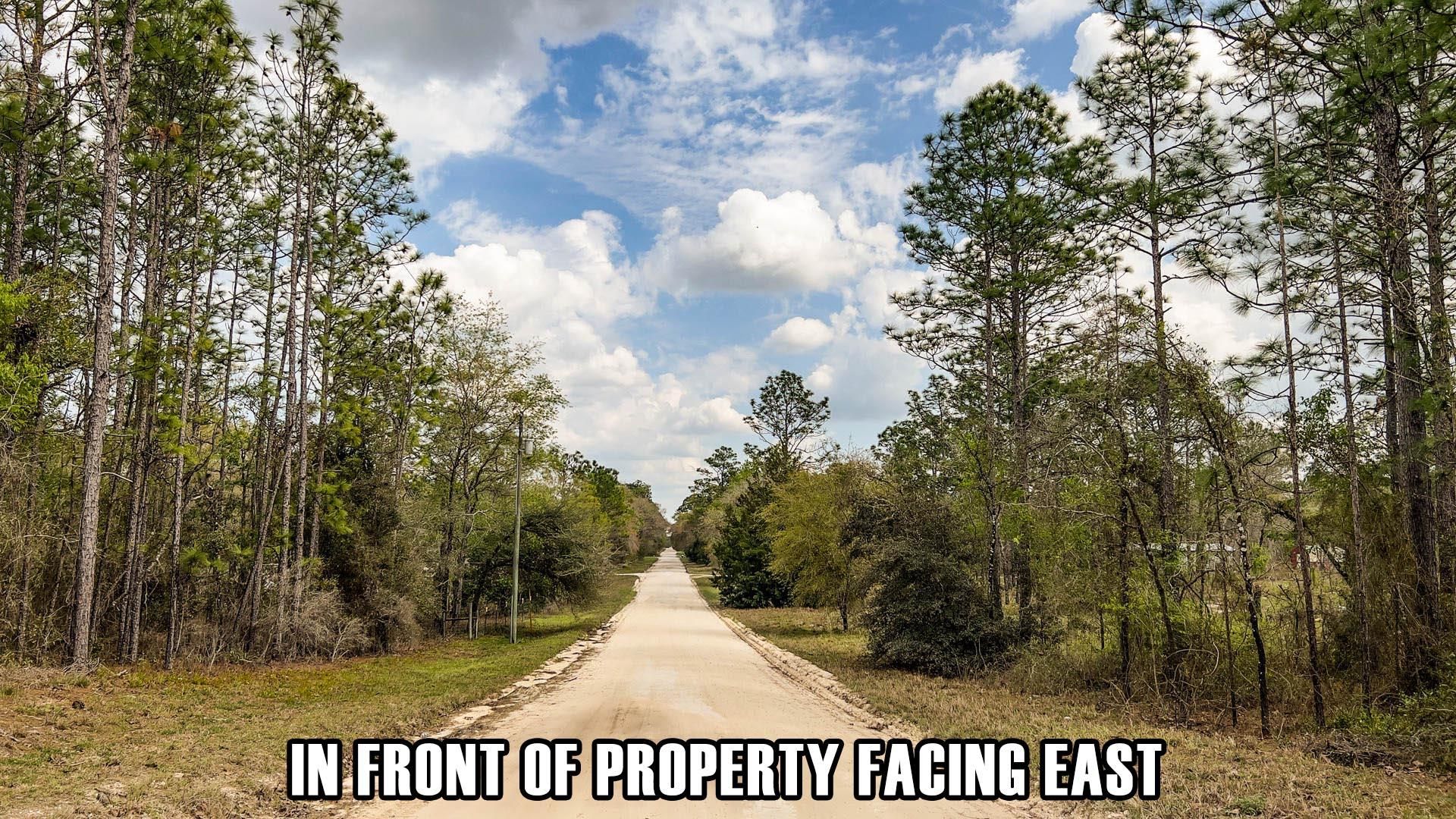 Morriston, Levy County, FL Recreational Property, Undeveloped Land