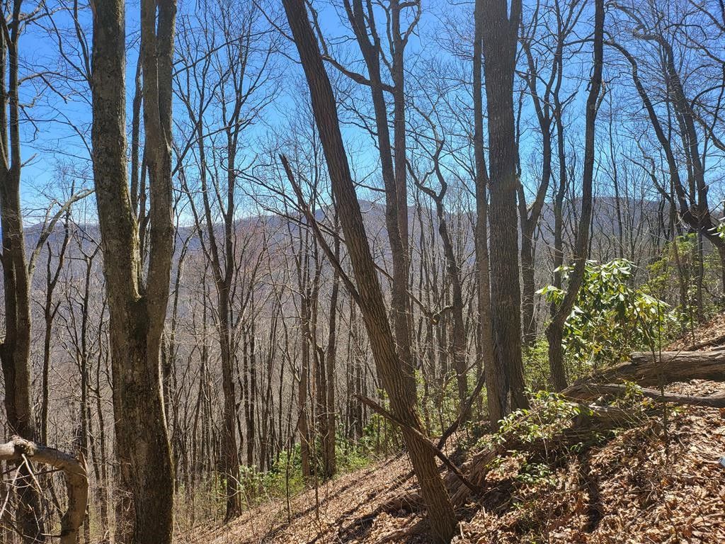 Waynesville, Haywood County, NC Undeveloped Land for sale Property ID