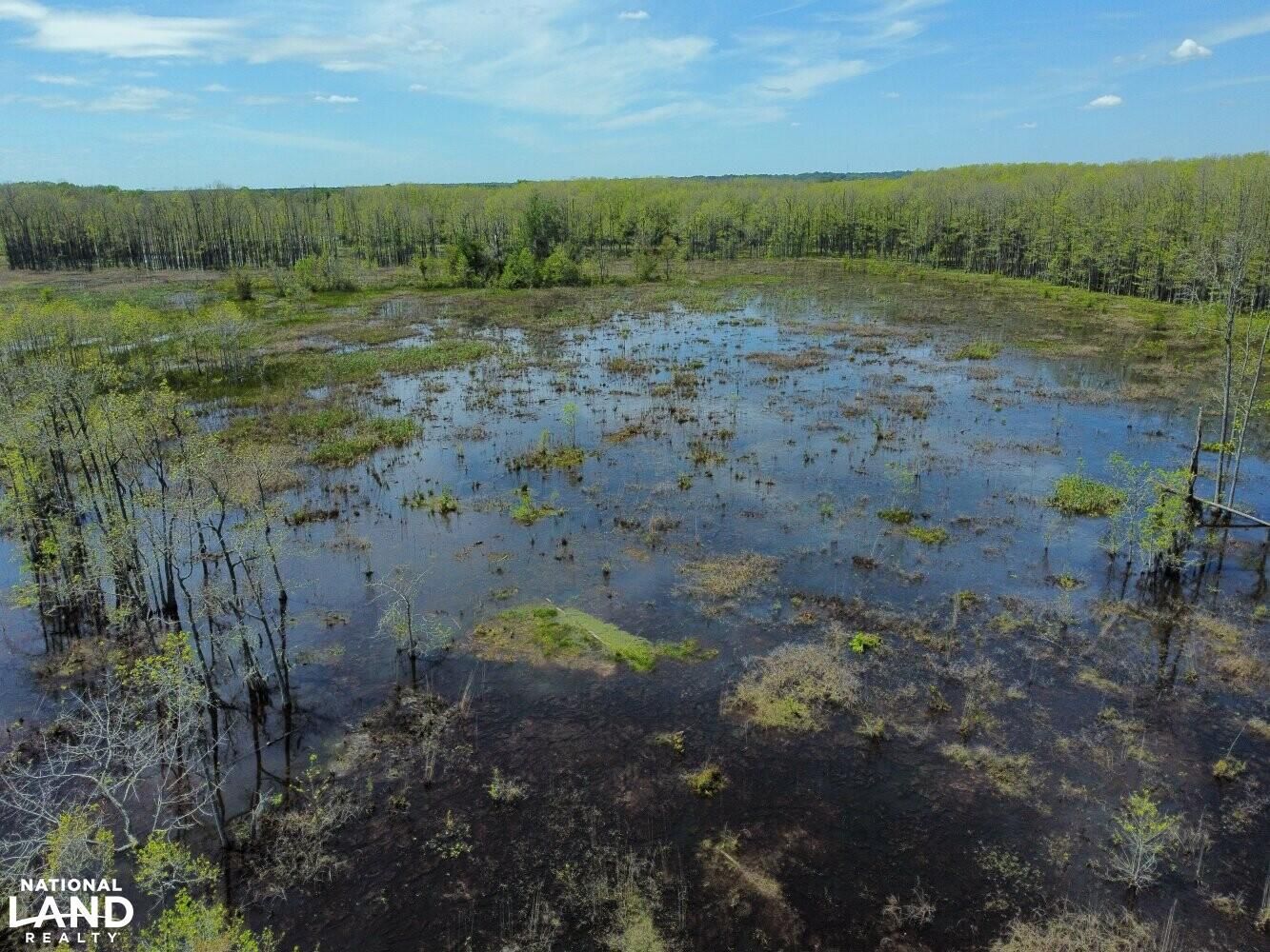 Selma, Dallas County, AL Recreational Property, Timberland Property